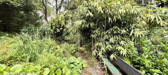 2 Schlafzimmer Haus in Odenwaldkreis, Germany, Nr. 241432 31