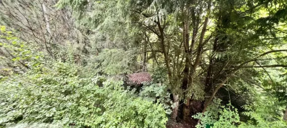 2 Schlafzimmer Haus in Odenwaldkreis, Germany, Nr. 241432 48