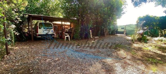 5 rooms Apartment in Cecina, Italy No. 45610 6