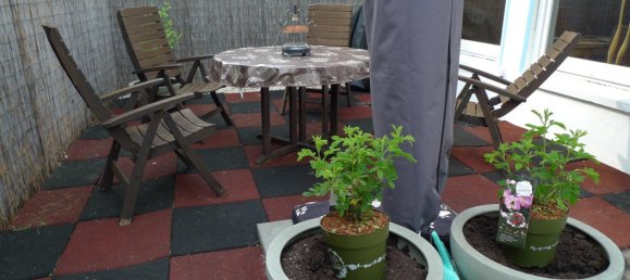  Land in Vorpommern-Rugen, Germany No. 345328 13