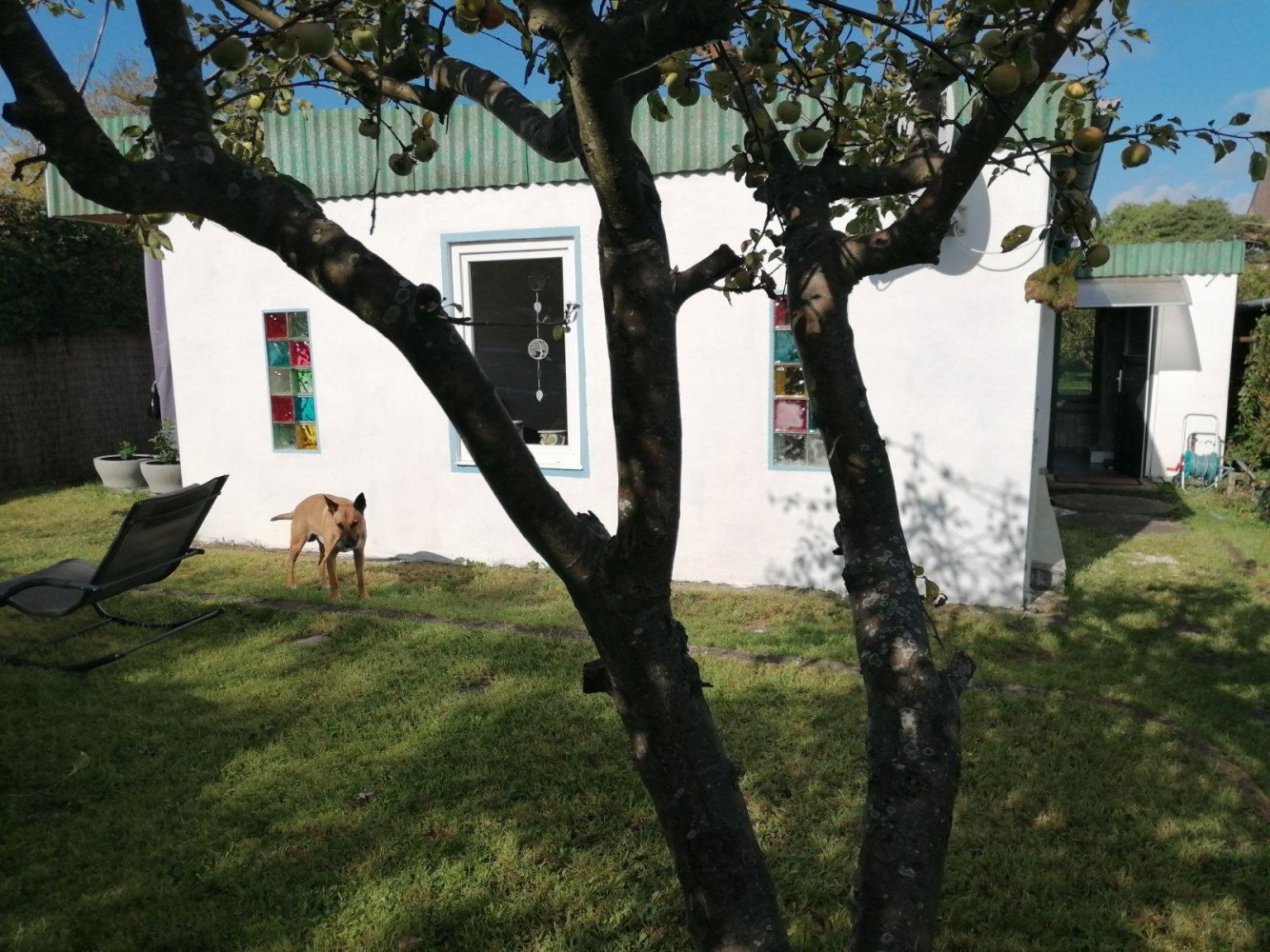  Land in Vorpommern-Rugen, Germany No. 345328