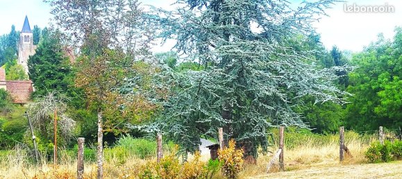 4 bedrooms House in Neuville-les-Decize, France No. 339760 14