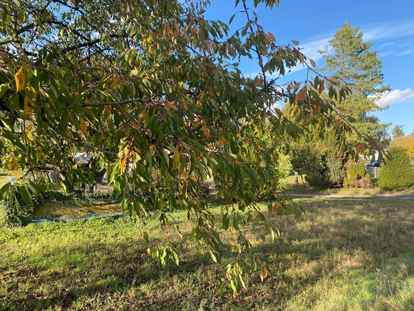 576m² Land in Fay-aux-Loges, France No. 82346