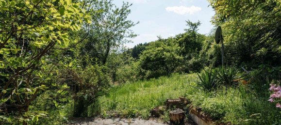 Land in Grossklein, Austria No. 245586 6