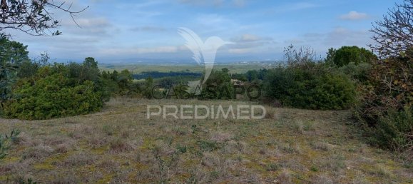 Grundstück in Quarteira, Portugal, Nr. 198022 14