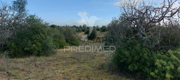 Grundstück in Quarteira, Portugal, Nr. 198022 12