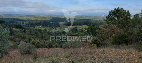 Grundstück in Quarteira, Portugal, Nr. 198022 4