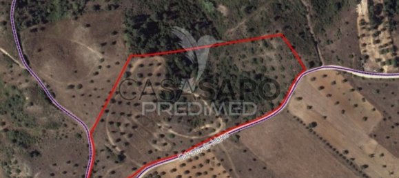 Grundstück in Quarteira, Portugal, Nr. 198022 23