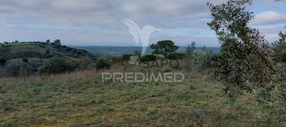 Grundstück in Quarteira, Portugal, Nr. 198022 8