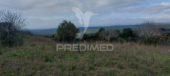 Grundstück in Quarteira, Portugal, Nr. 198022 13