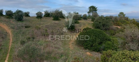 Grundstück in Quarteira, Portugal, Nr. 198022 5
