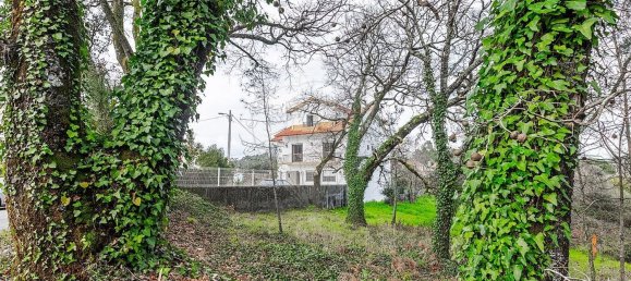 5 غرف نوم منزل في Arega, Portugal رقم 16548 43