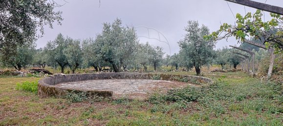 4 bedrooms House in Ansiao, Portugal No. 179405 20