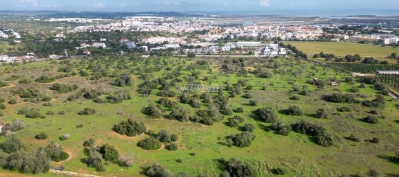  قطعة أرض في Tavira, Portugal 218837متر مربع رقم 50448 25