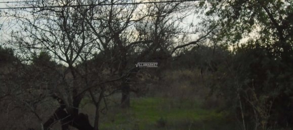  قطعة أرض في Tavira, Portugal 218837متر مربع رقم 50448 16