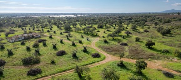  قطعة أرض في Tavira, Portugal 218837متر مربع رقم 50448 22