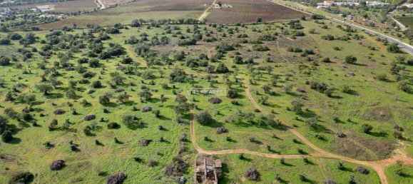  قطعة أرض في Tavira, Portugal 218837متر مربع رقم 50448 24