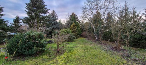 11-salle Bâtiment à Brandenburg, Germany No. 98614 14