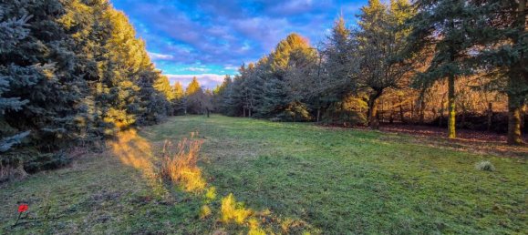 11-salle Bâtiment à Brandenburg, Germany No. 98614 15