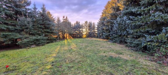 11-salle Bâtiment à Brandenburg, Germany No. 98614 16