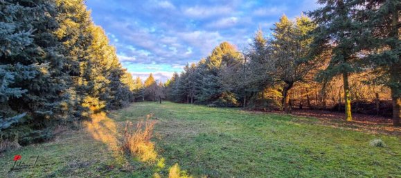 11-salle Bâtiment à Brandenburg, Germany No. 98614 19