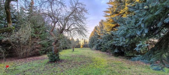 11-salle Bâtiment à Brandenburg, Germany No. 98614 18