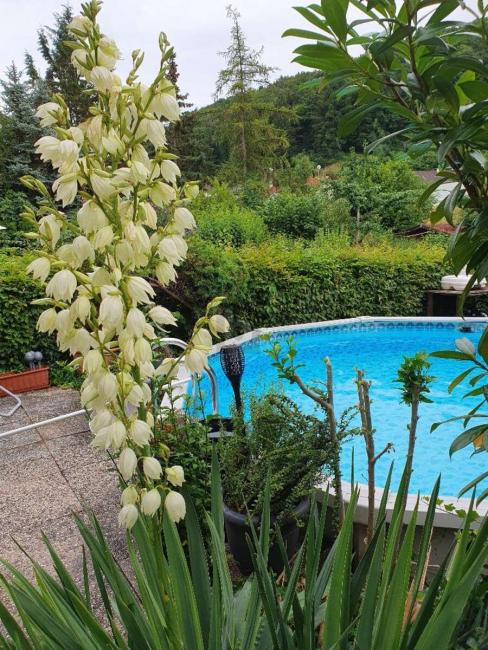 4-salle Maison de ville à Senftenberg, Austria No. 231350