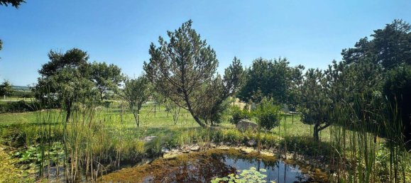 Bungalow de 4 habitaciónes en Winden am See, Austria No. 238001 2