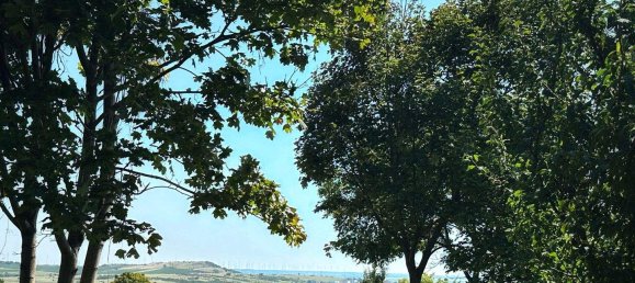 Bungalow de 4 habitaciónes en Winden am See, Austria No. 238001 14