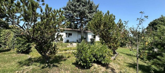 Bungalow de 4 habitaciónes en Winden am See, Austria No. 238001 3