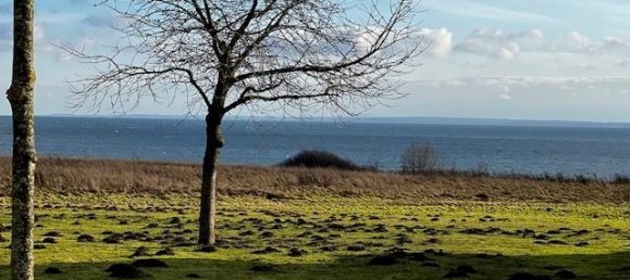 2 bedrooms Bungalow in Schleswig-Holstein, Germany No. 25824 22