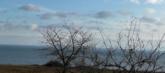 2 bedrooms Bungalow in Schleswig-Holstein, Germany No. 25824 25