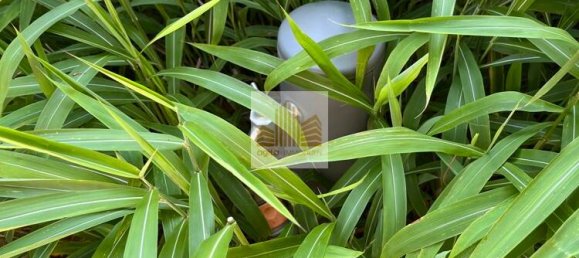 3 chambres Maison de ville à Anhalt-Bitterfeld, Germany No. 198320 33