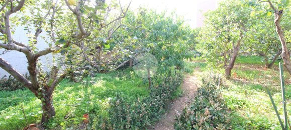 استوديو في Trapani, Italy رقم 175683 16