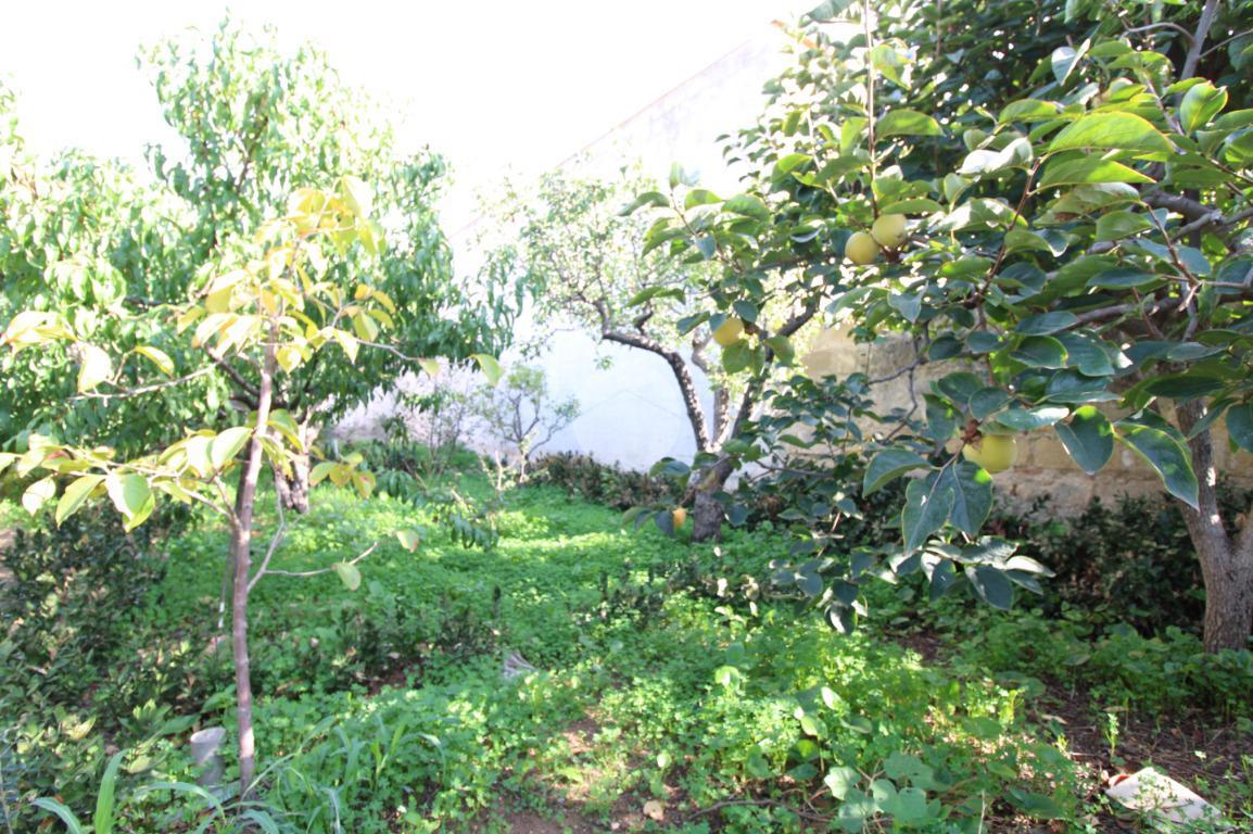 استوديو في Trapani, Italy رقم 175683