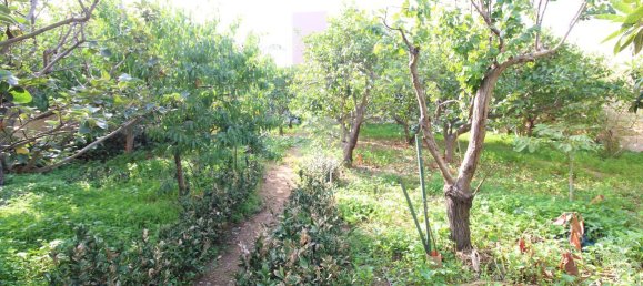 استوديو في Trapani, Italy رقم 175683 15