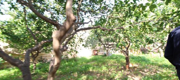 استوديو في Trapani, Italy رقم 175683 11