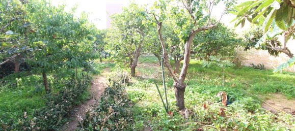 استوديو في Trapani, Italy رقم 175683 19