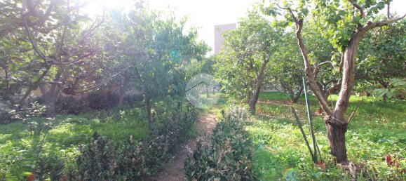 استوديو في Trapani, Italy رقم 175683 20