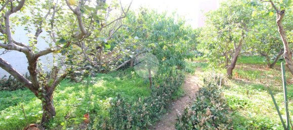 استوديو في Trapani, Italy رقم 175683 13