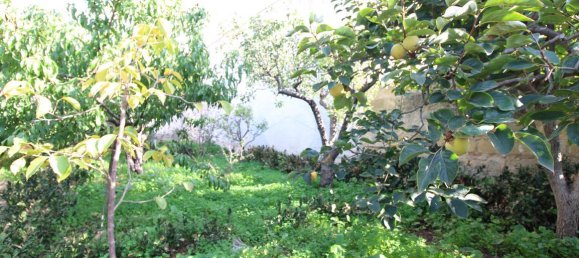 استوديو في Trapani, Italy رقم 175683 26