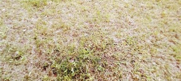 3غرفة منزل في Pieve Vergonte, Italy رقم 167714 14