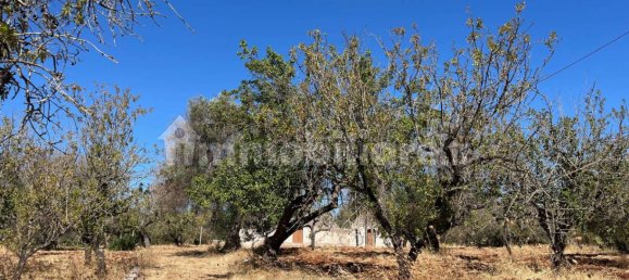 Casa T2 em San Vito dei Normanni, Italy N.º 348107 24