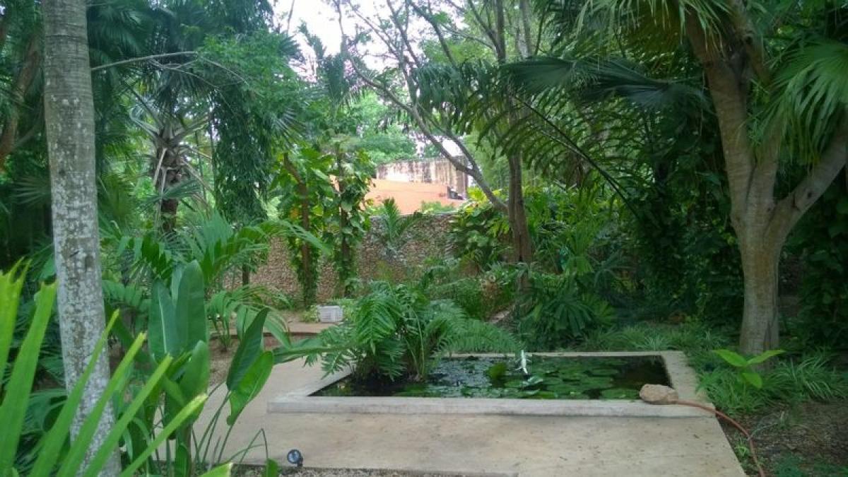 3 bedrooms House in Merida, Mexico No. 53370