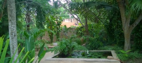 3 bedrooms House in Merida, Mexico No. 53370 2