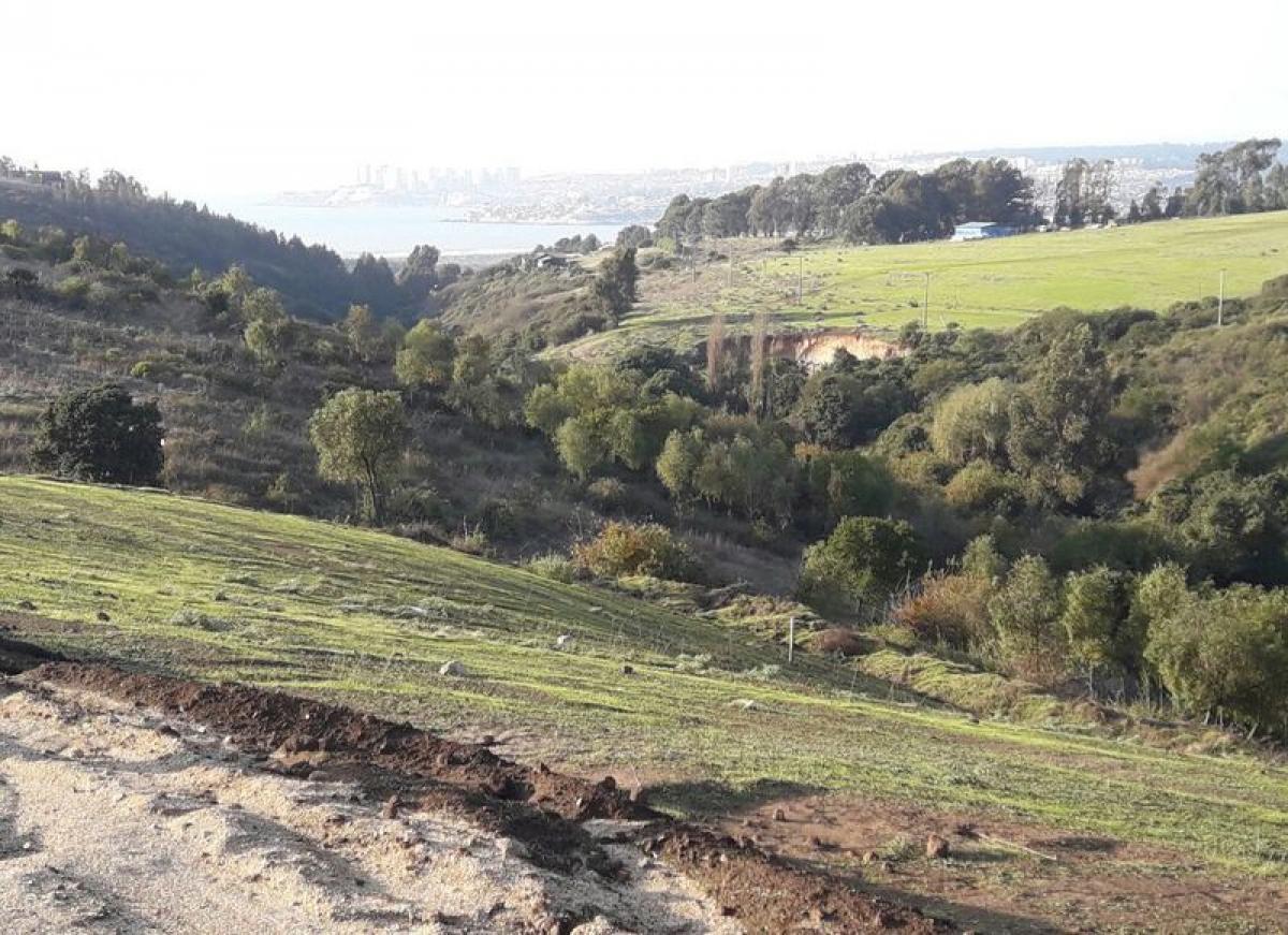 Grundstück in Valparaiso, Chile, Nr. 1255