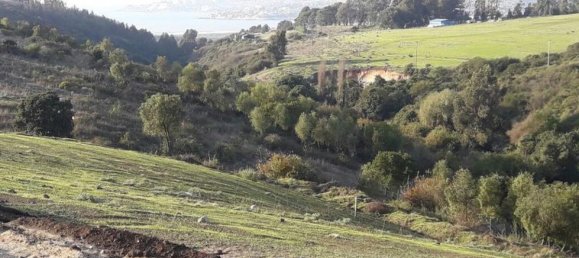 Grundstück in Valparaiso, Chile, Nr. 1255 2