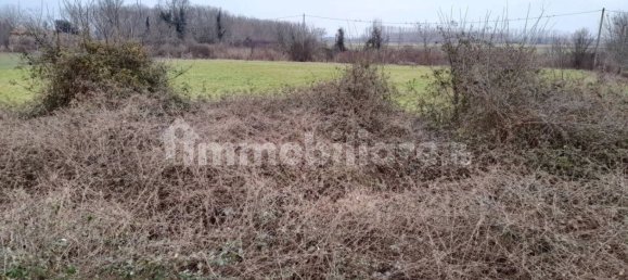 6 bedrooms Villa in Mantua, Italy No. 354853 19