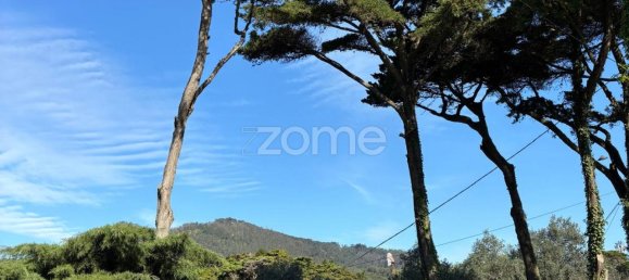 7 Schlafzimmer Haus in Sintra, Portugal, Nr. 97731 16