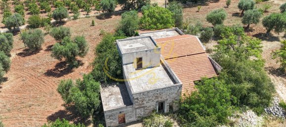 9-Zimmer Haus in Polignano a Mare, Italy, Nr. 43345 3